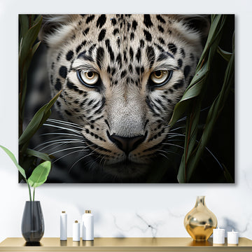 Jungle Leopard Stalk - Leopard Framed Canvas Art